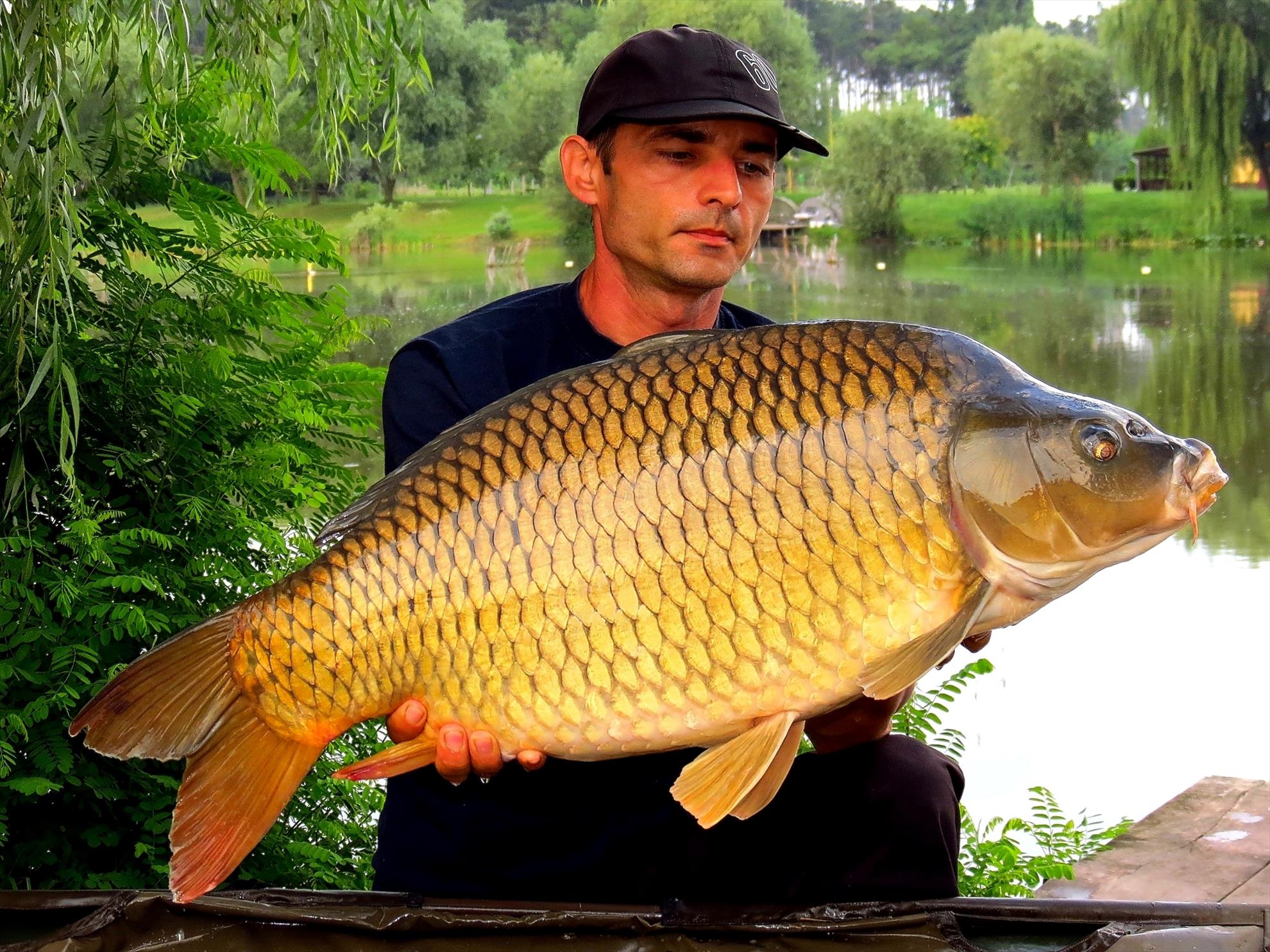 Palici - 001-img5943---1174-kg.jpg